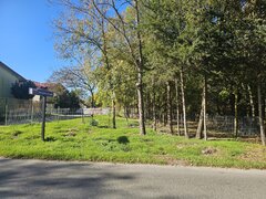 Mangalia, str Ferdinand nr 32, Jupiter